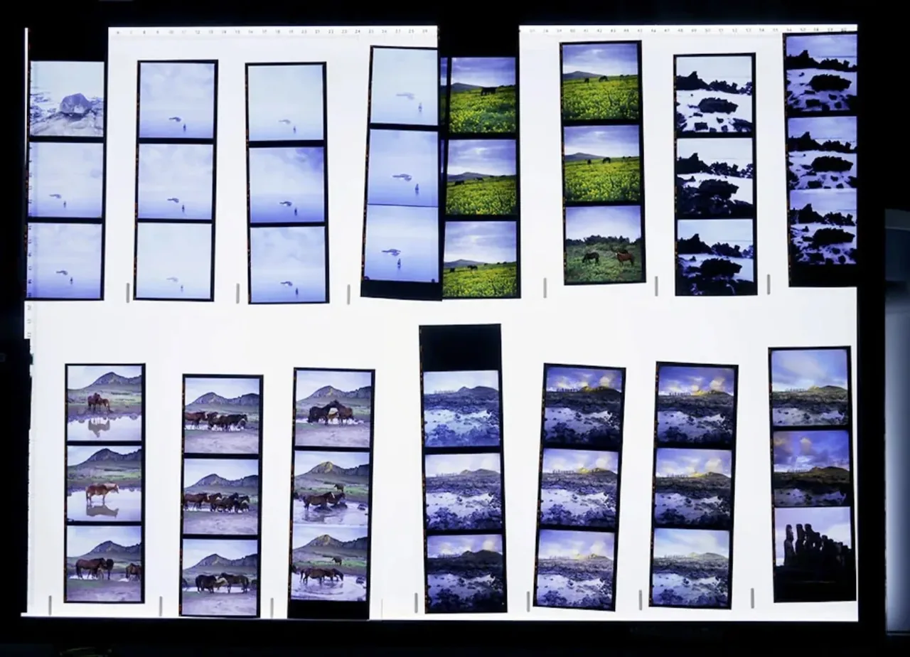 Contact sheets on an illuminated photographic light table