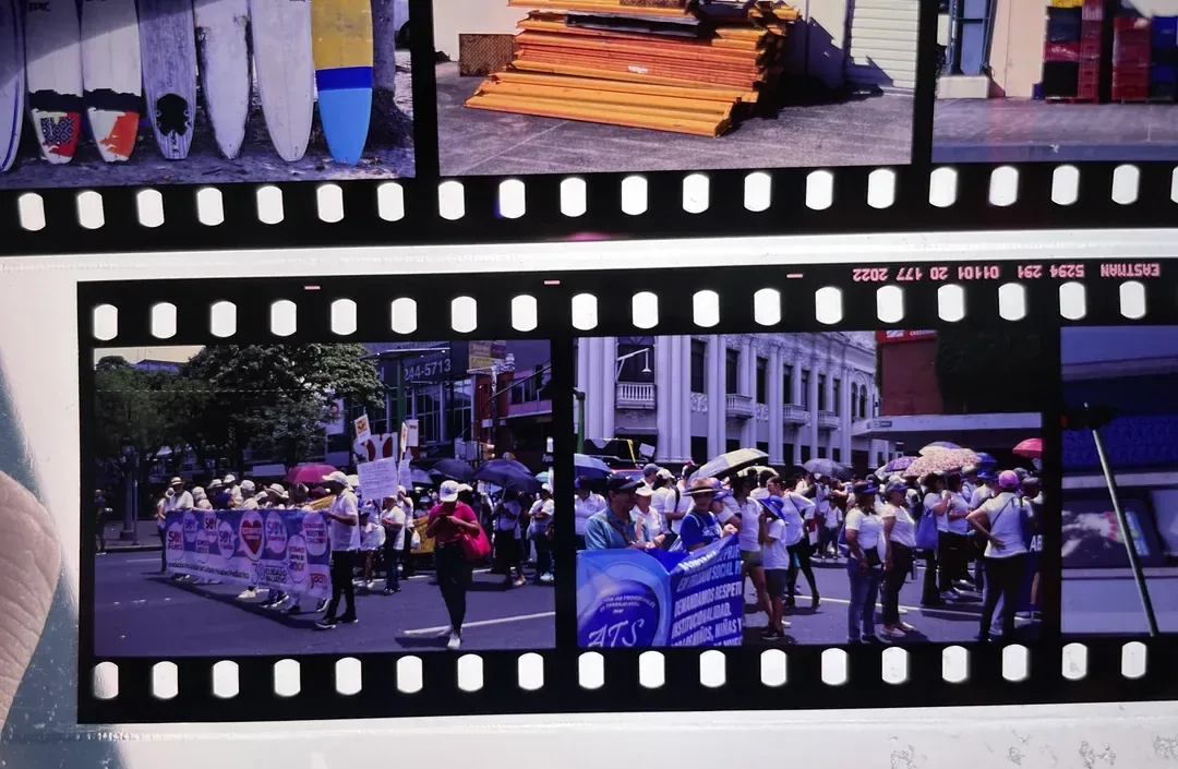 Film strip on a light table