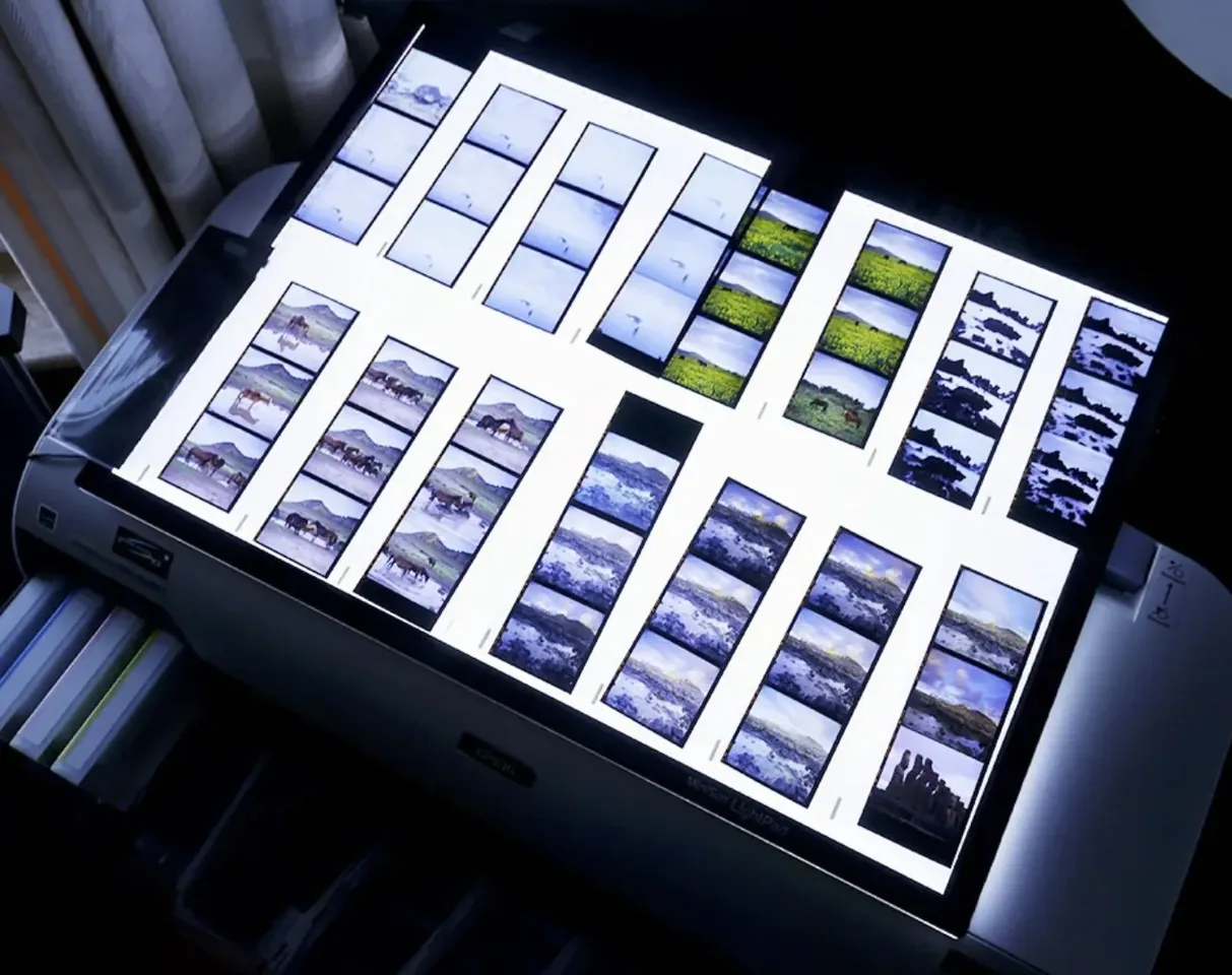 Contact sheets on a light table